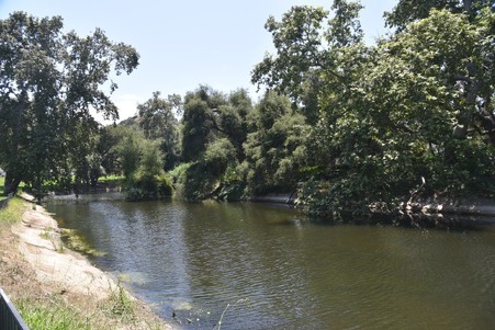 Enlarge photo 223