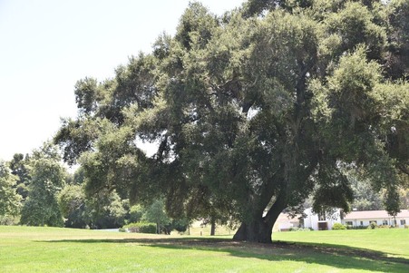 Enlarge photo 226