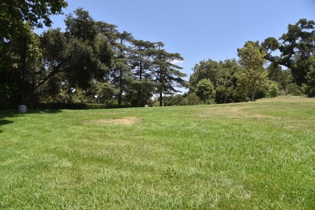 Enlarge photo 225