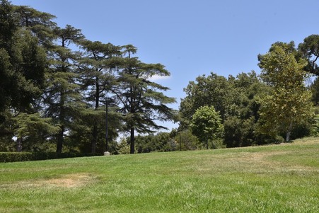 Enlarge photo 228