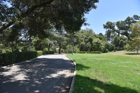 Enlarge photo 229