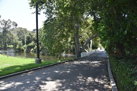 Enlarge photo 230