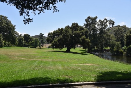 Enlarge photo 232
