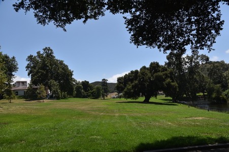 Enlarge photo 231