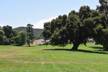 Enlarge photo 233