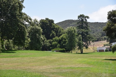 Enlarge photo 235