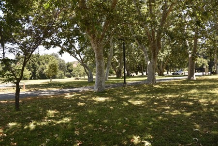 Enlarge photo 234