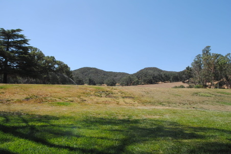 Enlarge photo 145