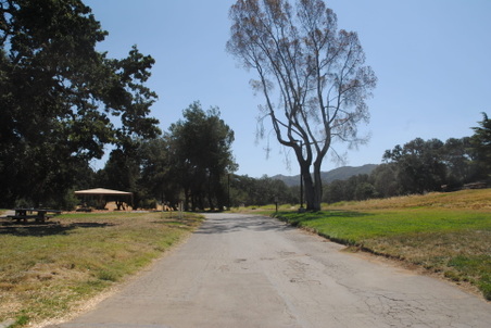 Enlarge photo 146