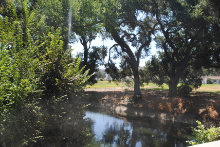Enlarge photo 178