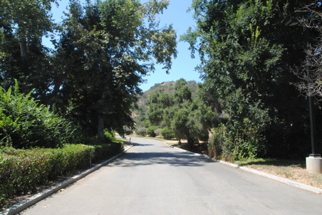 Enlarge photo 179