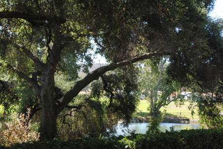 Enlarge photo 181