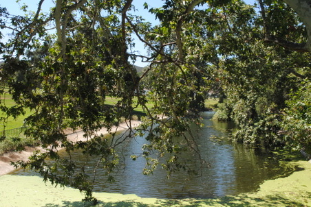 Enlarge photo 182
