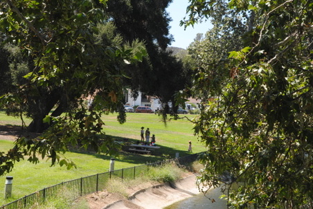 Enlarge photo 184