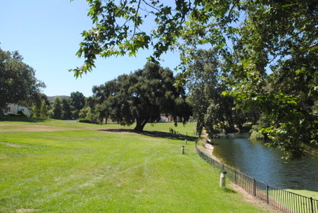 Enlarge photo 185