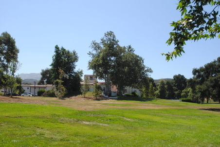 Enlarge photo 186