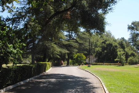 Enlarge photo 187