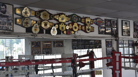 Enlarge photo 42