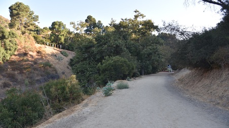 Enlarge photo 5