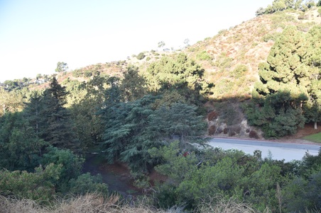 Enlarge photo 11