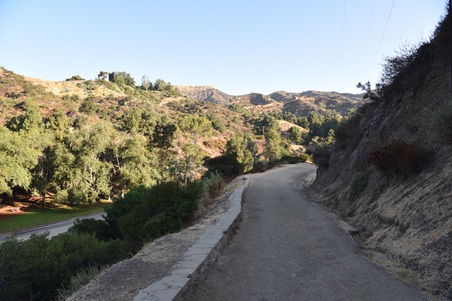 Enlarge photo 19