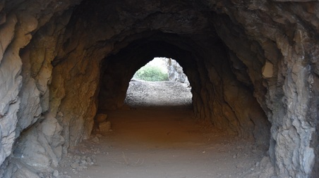 Enlarge photo 23