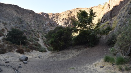 Enlarge photo 32