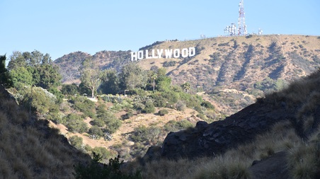 Enlarge photo 40