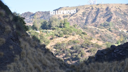 Enlarge photo 47