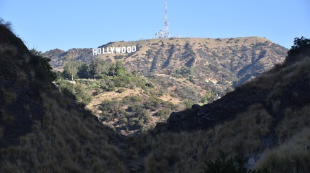 Enlarge photo 48
