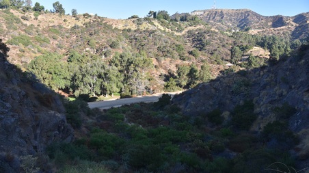 Enlarge photo 51