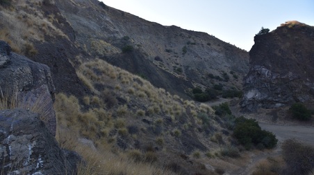 Enlarge photo 56