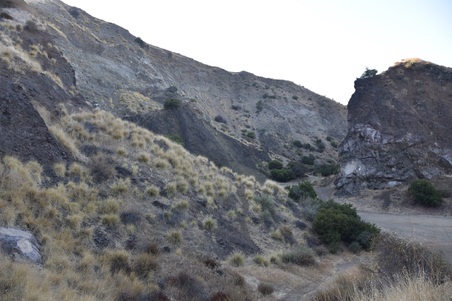 Enlarge photo 57