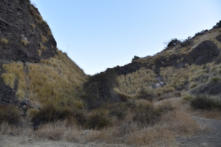 Enlarge photo 59