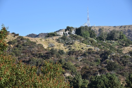 Enlarge photo 65