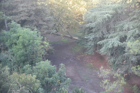 Enlarge photo 68