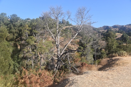 Enlarge photo 69