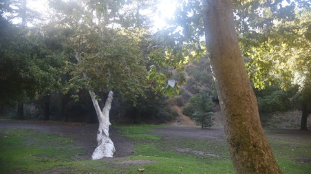 Enlarge photo 79