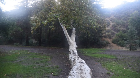 Enlarge photo 78