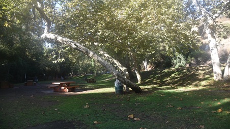 Enlarge photo 81