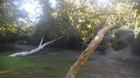 Enlarge photo 86