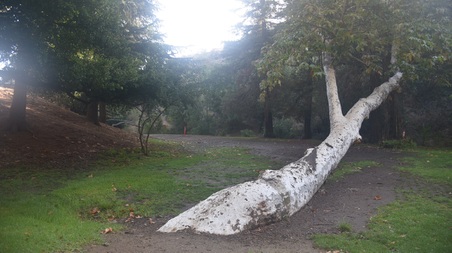 Enlarge photo 87