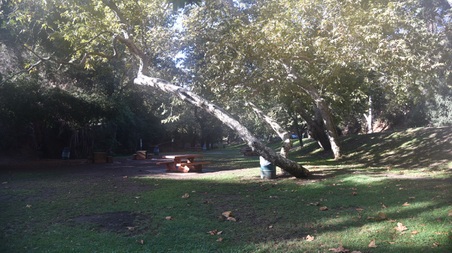 Enlarge photo 88