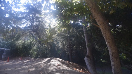 Enlarge photo 89