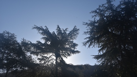 Enlarge photo 90