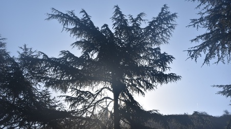 Enlarge photo 91