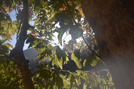 Enlarge photo 94