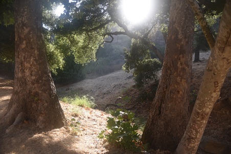 Enlarge photo 95
