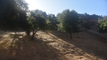 Enlarge photo 100