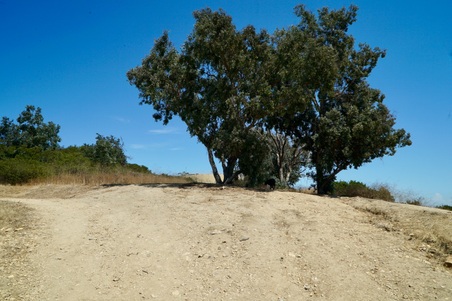 Enlarge photo 10
